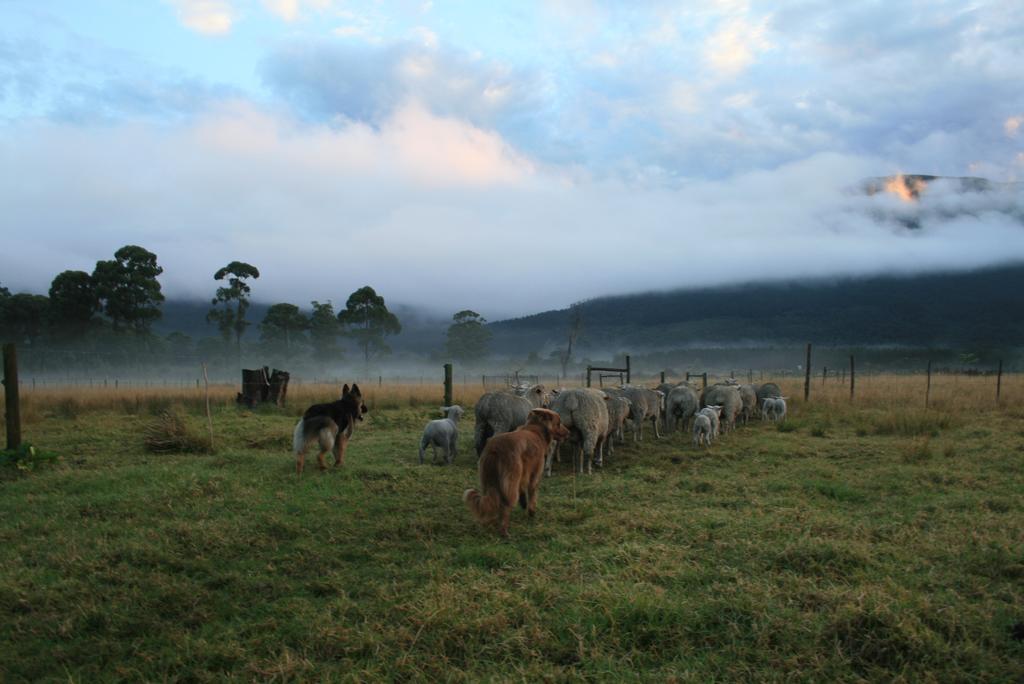 Love Earth Farm Sanddrif Esterno foto